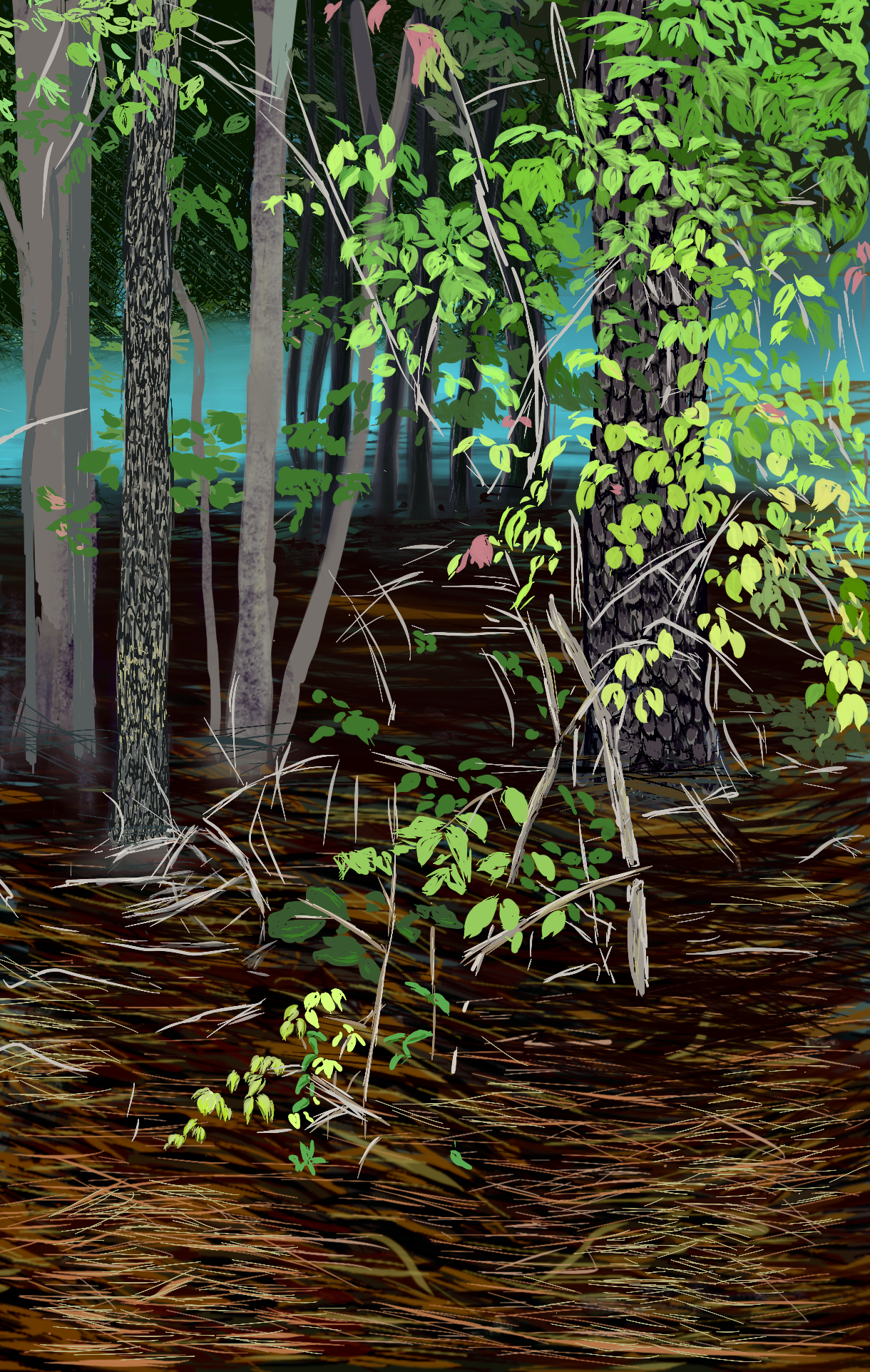 Forest